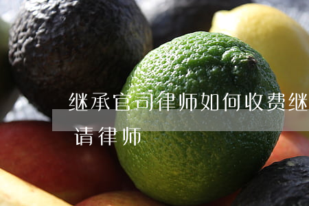 继承官司律师如何收费(继承纠纷被告用不用请律师)