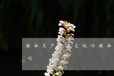 继承房产更名交税吗(继承的房产要交房产税吗?)