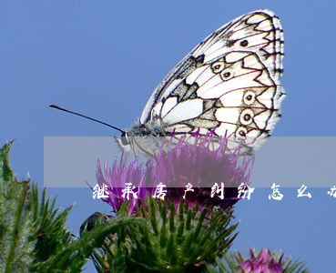 继承房产纠纷怎么办(继承房产纠纷怎么办)
