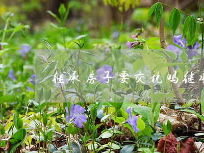 继承房子要交税吗(继承房屋需要交房产税吗)