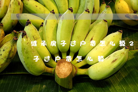 继承房子过户费怎么算2021(遗产继承房子过户费怎么算)