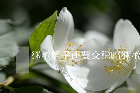 继承房子还要交税吗(继承房子还要交税吗)