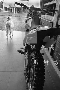 继承房屋父母子女怎么分(继承父母的房子有几种方式)