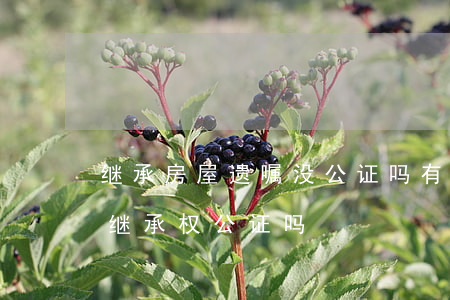 继承房屋遗嘱没公证吗(有了公证遗嘱还要做继承权公证吗)