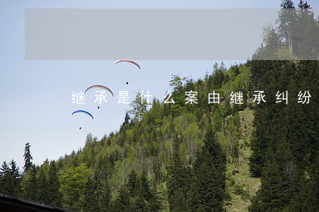 继承是什么案由(继承纠纷案由)