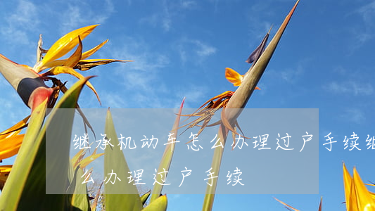 继承机动车怎么办理过户手续(继承机动车怎么办理过户手续)