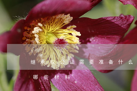 继承权公证需要准备什么资料(继承公证需要哪些材料?)