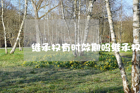 继承权有时效期吗(继承权时效两年还是三年)