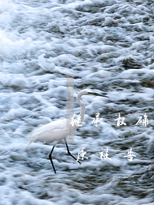继承权确认之诉官司怎么打(确认继承权之诉 原被告)