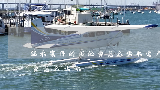 继承案件的诉讼费怎么收取(遗产继承的诉讼费怎么收取)