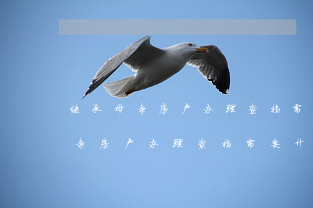 继承母亲房产办理查档需要什么手续(继承母亲房产办理查档需要什么手续)
