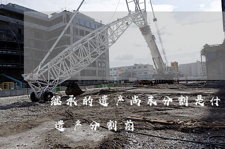 继承的遗产尚末分割是什么意思(继承开始后遗产分割前)