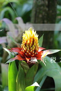 继承税怎么免(继承需要缴纳的税)