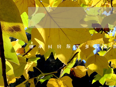 继承纠纷原告多人怎么列