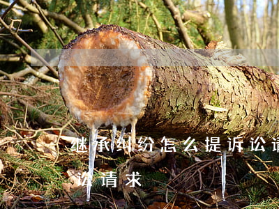 继承纠纷怎么提诉讼请求(继承纠纷怎么提诉讼请求)