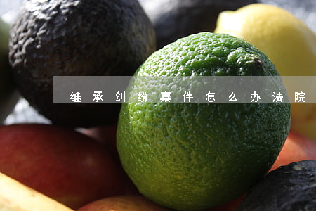 继承纠纷案件怎么办(法院继承立案材料)