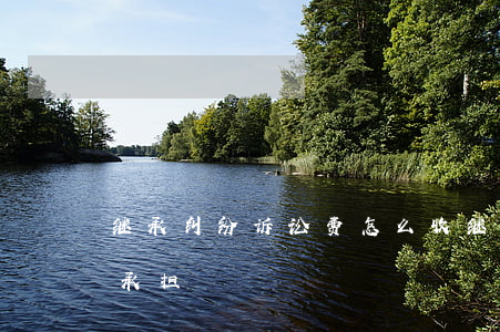 继承纠纷诉讼费怎么收(继承纠纷诉讼费用谁承担)