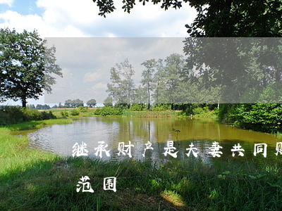 继承财产是夫妻共同财产吗（夫妻共同财产的范围）