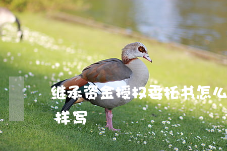 继承资金授权委托书怎么写(继承权转让书怎样写)