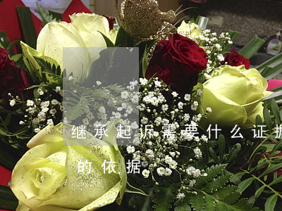 继承起诉需要什么证据(继承人作为原告起诉的依据)