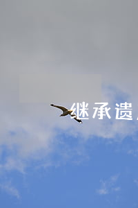 继承遗产协议书(继承遗产协议书)