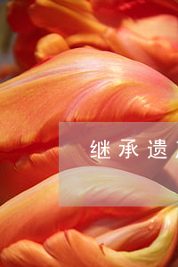 继承遗产离婚要分割吗