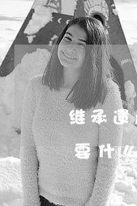 继承遗产需要什么手续去哪里(房产遗产继承要什么手续)