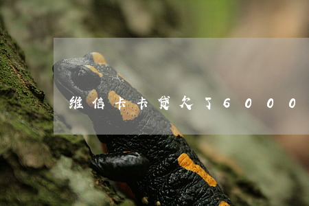 维信卡卡贷欠了6000(维信卡卡贷咋了)