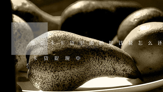 维信卡卡贷里面的提钱花怎么还款-维信卡卡贷提现中