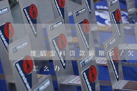 维信金科贷款逾期多了(欠维信金科快四年了怎么办)