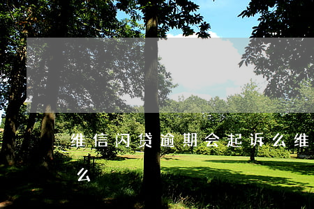 维信闪贷逾期会起诉么(维信闪贷逾期会起诉么)
