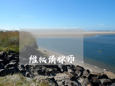 维权请律师
