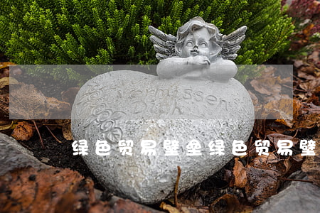 绿色贸易壁垒(绿色贸易壁垒的定义)