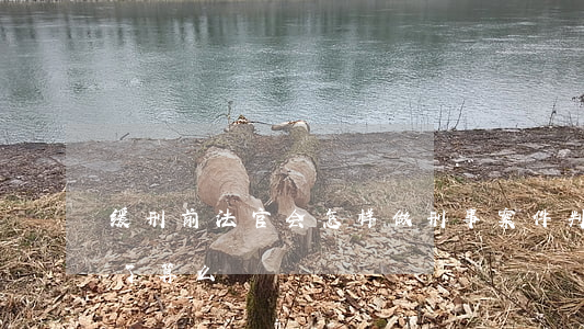 缓刑前法官会怎样做(刑事案件判缓刑法官说了算么)