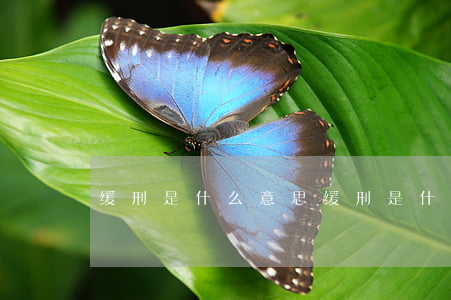 缓刑是什么意思(缓刑是什么意思还要坐牢吗)