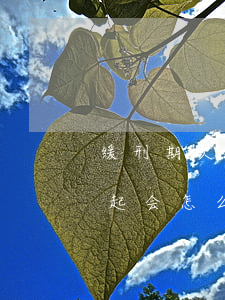 缓刑期欠信用卡还不起 缓刑期欠信用卡还不起会怎么样