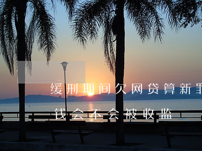 缓刑期间欠网贷算新罪吗(缓刑期间欠网贷的钱会不会被收监)