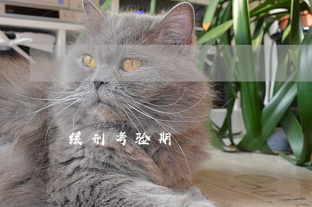缓刑考验期