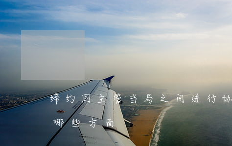 缔约国主管当局之间进行协商的内容主要有哪些方面