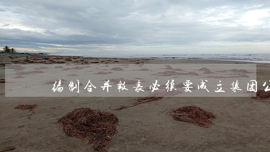 编制合并报表必须要成立集团公司吗