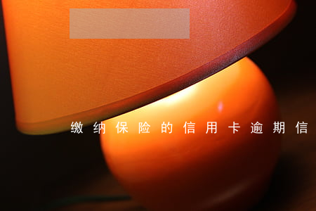 缴纳保险的信用卡逾期(信用卡逾期)