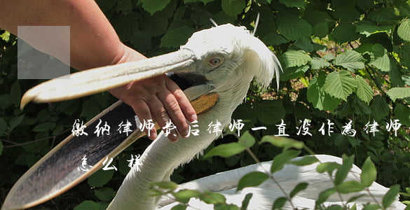缴纳律师费后律师一直没作为(律师费不付会怎么样)