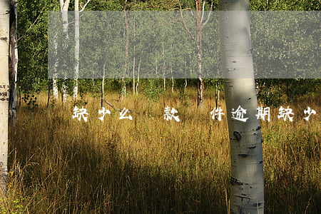 缺少么貸款軟件逾期(缺少么貸款軟件逾期)