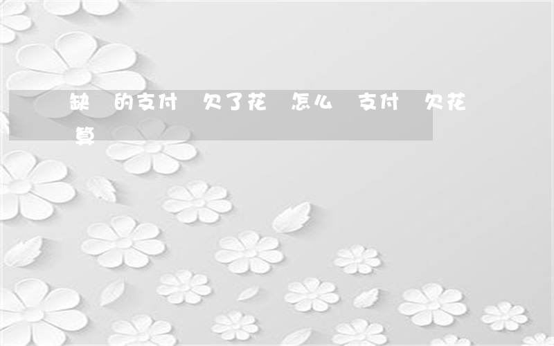 缺載的支付寶欠了花唄怎么還(支付寶欠花唄算負債嗎)