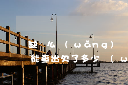 缺錢么網(wǎng)貸怎么查欠多少(怎么能查出欠了多少網(wǎng)貸)