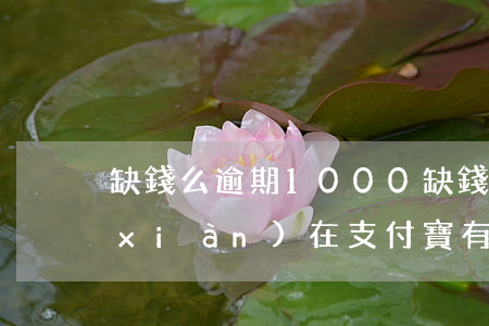 缺錢么逾期1000(缺錢么逾期記錄出現(xiàn)在支付寶有申訴成功的)