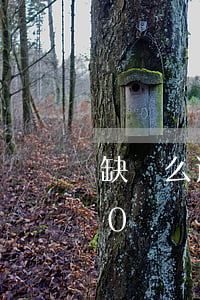 缺錢么逾期上征信嗎(缺錢么上征信嗎2020)