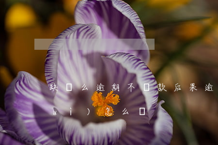 缺錢么逾期不還款后果(逾期沒有還款會(huì)怎么樣)