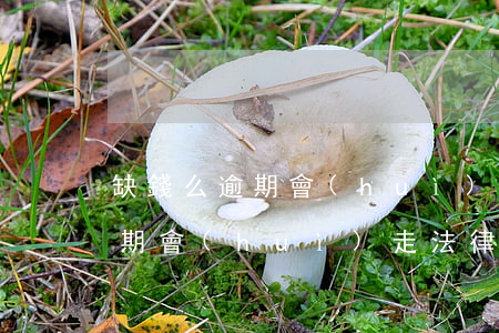 缺錢么逾期會(huì)走法律嗎(缺錢么逾期會(huì)走法律嗎)