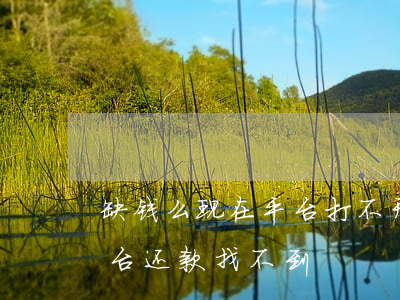 缺钱么现在平台打不开怎么还款-缺钱么平台还款找不到
